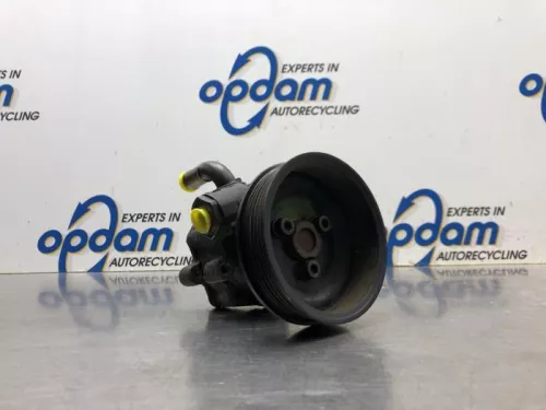 Stuurbekrachtiging Pomp-8110728