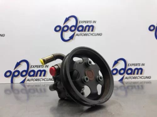 Stuurbekrachtiging Pomp-8205745