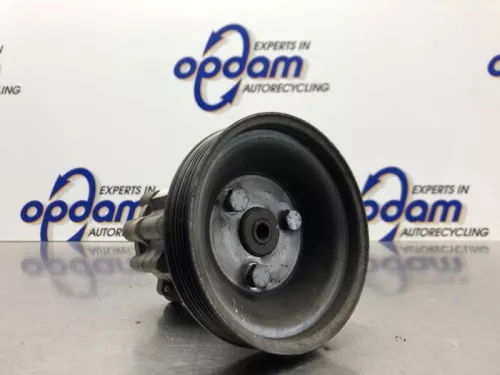 Stuurbekrachtiging Pomp-8249431 (21540954)