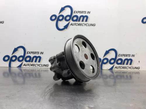 Stuurbekrachtiging Pomp-8120680