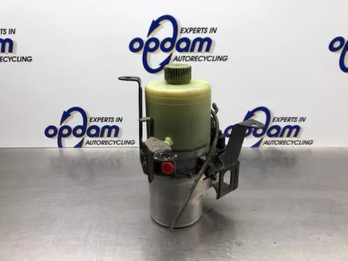 Stuurbekrachtiging Pomp-8203191