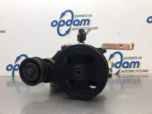 Stuurbekrachtiging Pomp-8163012 (20349152)