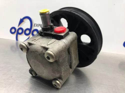 Stuurbekrachtiging Pomp-8269560 (21811727)