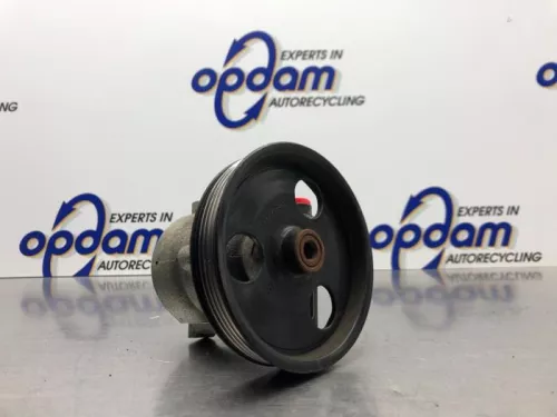 Stuurbekrachtiging Pomp-8238583