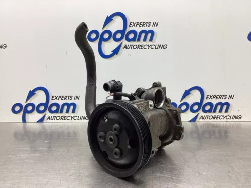 Stuurbekrachtiging Pomp-8024313
