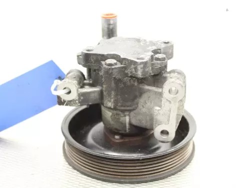 Stuurbekrachtiging Pomp-7889668