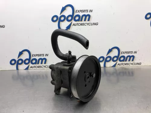 Stuurbekrachtiging Pomp-8161044 (20344473)