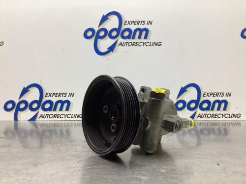 Stuurbekrachtiging Pomp-8059397