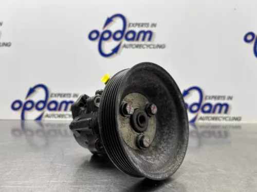 Stuurbekrachtiging Pomp-8269838 (22269713)