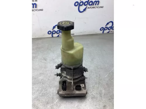 Stuurbekrachtiging Pomp-8276614 (22124347)