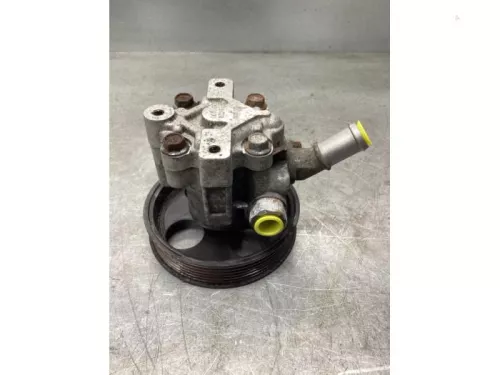 Stuurbekrachtiging Pomp-8068373