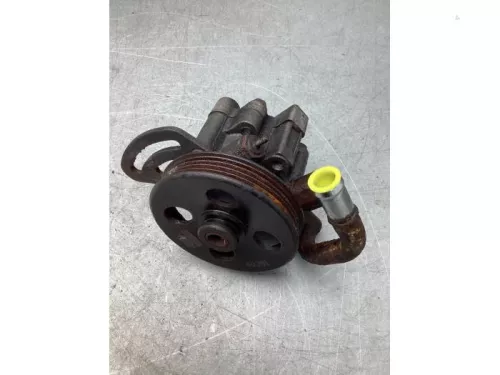 Stuurbekrachtiging Pomp-8133065