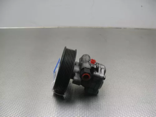 Stuurbekrachtiging Pomp-7851712