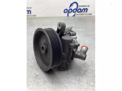 Stuurbekrachtiging Pomp-8173622 (20601149)