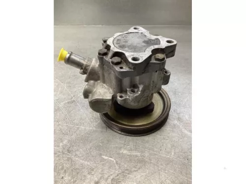 Stuurbekrachtiging Pomp-7930264 (18612463)