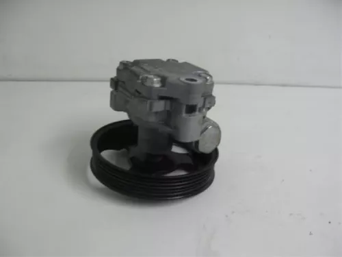 Stuurbekrachtiging Pomp-7890520 (4115418)
