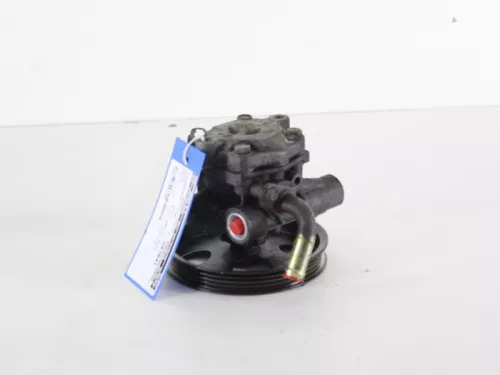Stuurbekrachtiging Pomp-7888095