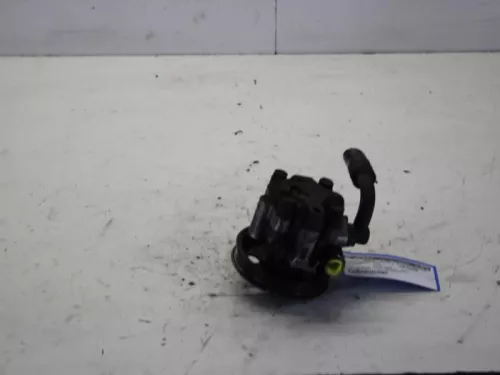 Stuurbekrachtiging Pomp-7882073