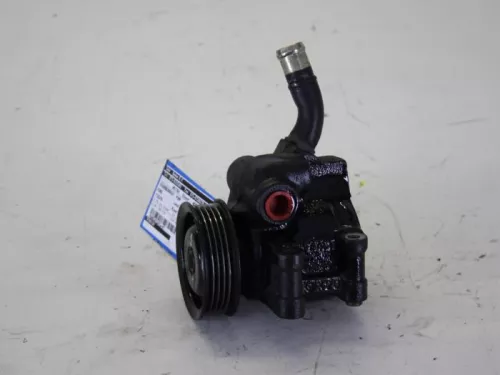 Stuurbekrachtiging Pomp-7884549