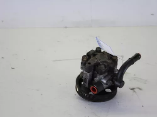 Stuurbekrachtiging Pomp-7886401 (7732838)