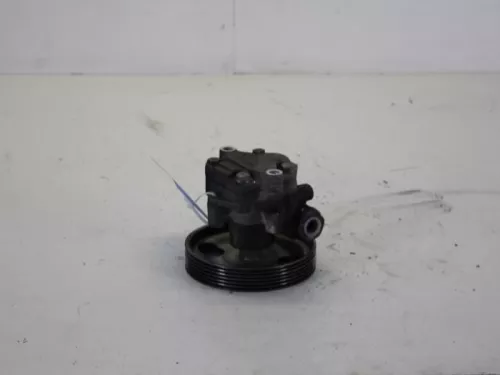 Stuurbekrachtiging Pomp-7884704 (8186576)