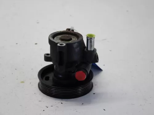 Stuurbekrachtiging Pomp-7881357 (10726214)