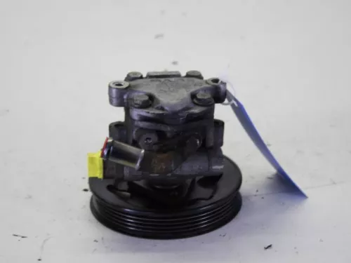 Stuurbekrachtiging Pomp-7882433 (10181281)