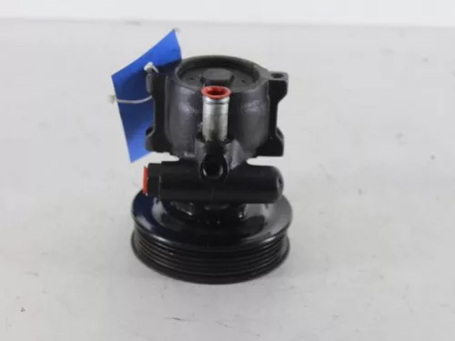 Stuurbekrachtiging Pomp-7888891 (5775337)