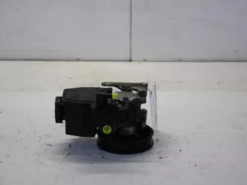 Stuurbekrachtiging Pomp-7880435 (11480323)