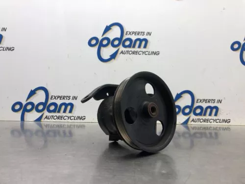 Stuurbekrachtiging Pomp-8099839