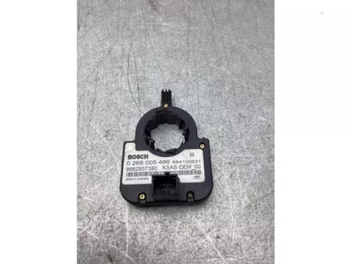 Stuurhoek sensor-7981173 (22307733)