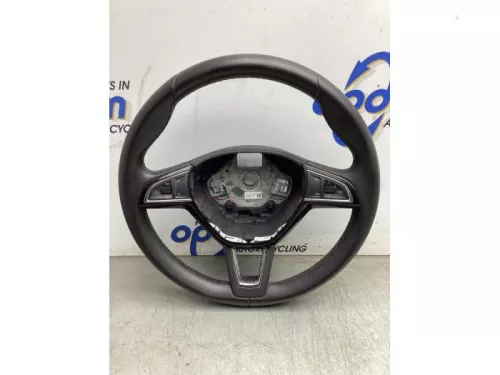 Stuurwiel-8078770