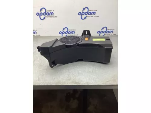 Subwoofer-8162486 (21084866)