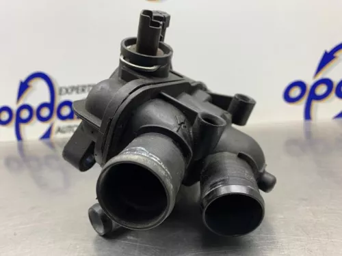 Thermostaathuis-8217403 (21685897)