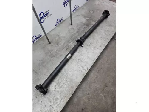 Tussenas-8293124 (22262287)