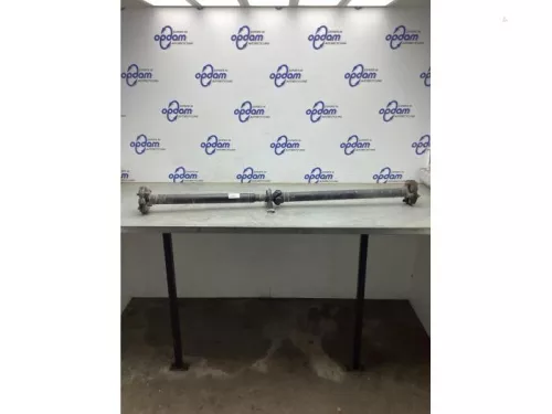 Tussenas-8126952 (21402274)