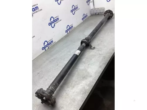 Tussenas-8126952 (21402274)