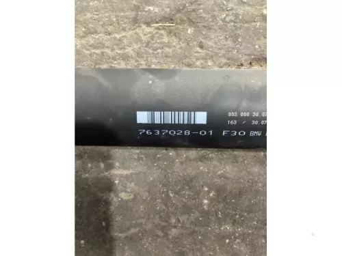 Tussenas-8227138 (21352896)