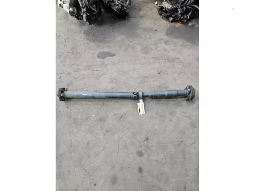 Tussenas-8284463 (22380628)