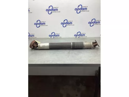 Tussenas-8074126