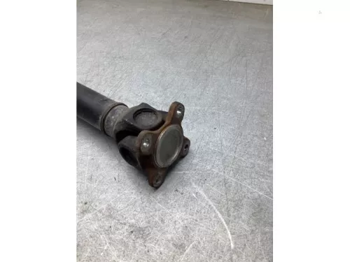 Tussenas-8284463 (22392633)