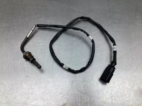 Uitlaat temperatuursensor- (17502455)