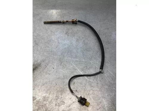 Uitlaat temperatuursensor-7981015 (18009628)