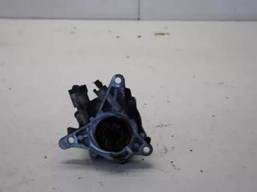 Vacuumpomp (Benzine)- (10701454)