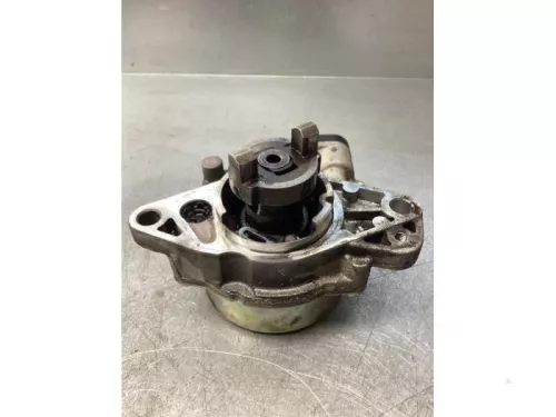 Vacuumpomp (Diesel)- (18111361)