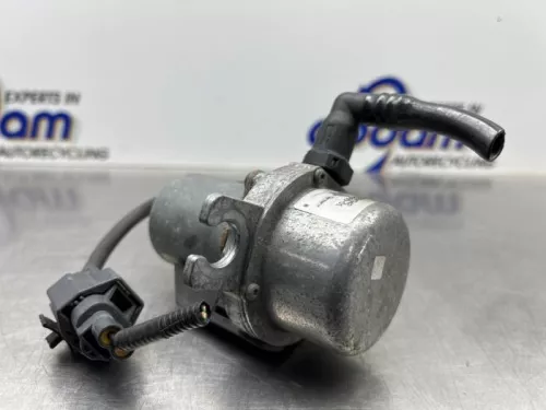 Vacuumpomp Rembekrachtiging-8260013 (22077021)