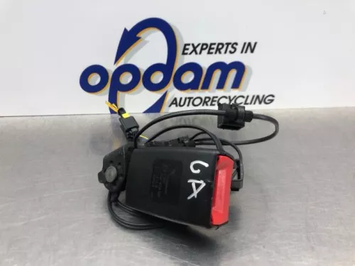 Veiligheidsgordel Insteek links-achter-8136407