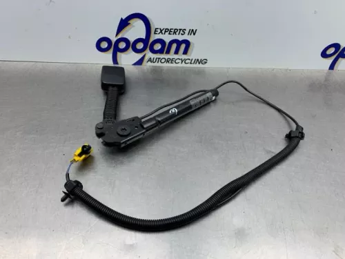 Veiligheidsgordel Insteek links-voor-8220585