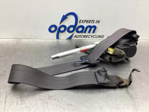 Veiligheidsgordel links-achter-8029209