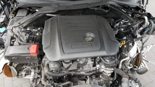 Automaatbak-3649149 (10504441)